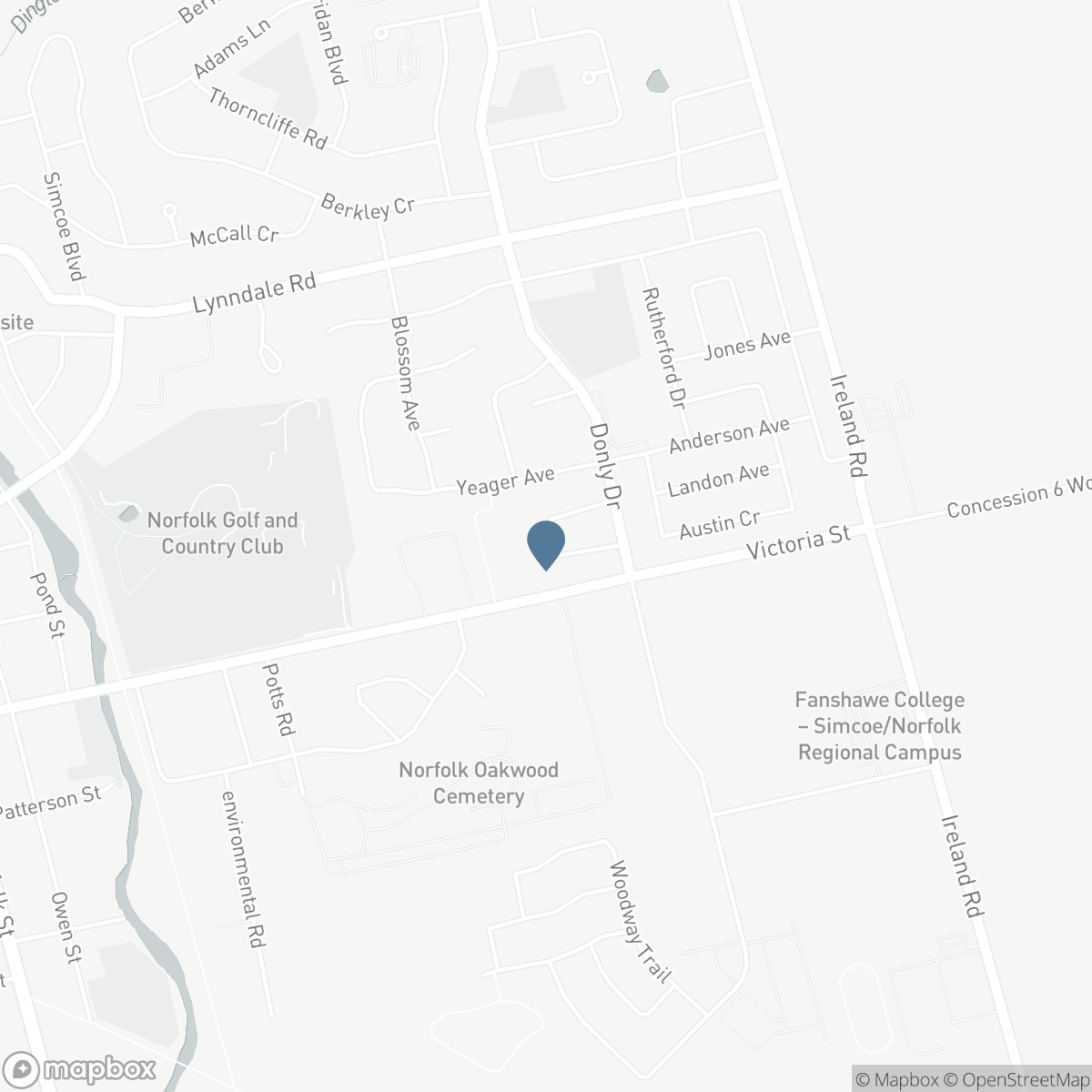 45 FREEMAN Crescent, Simcoe, Ontario N3Y 5K1